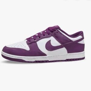 Nike Dunk Low Retro in White and Viotech